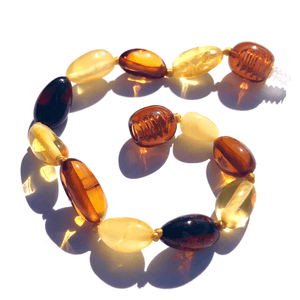 Baltic Amber Multicolored Bean