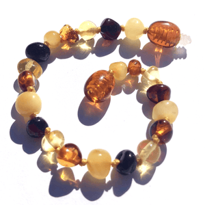 Baltic Amber Multicolored Round