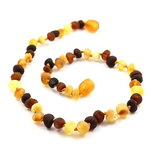 Baltic Amber Multicolored Semi-Polish - 12 Necklace - Twist Clasp - Baltic Amber Jewelry