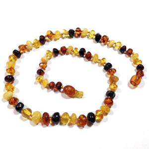 Baltic Amber Multicolored Round - 12 Necklace - Pop Clasp - Baltic Amber Jewelry
