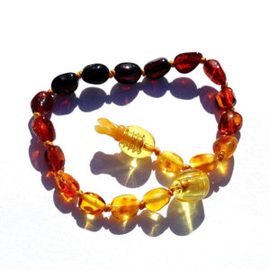 Baltic Amber Rainbow Bean - 5.5 Bracelet / Anklet - Pop Clasp - Baltic Amber Jewelry